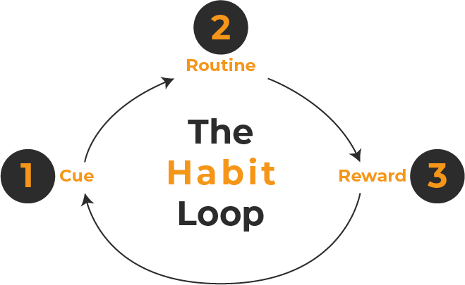 From Diagnosis to Habit: Why Assessment Follow-Through Needs a Staged Developmental Sequence